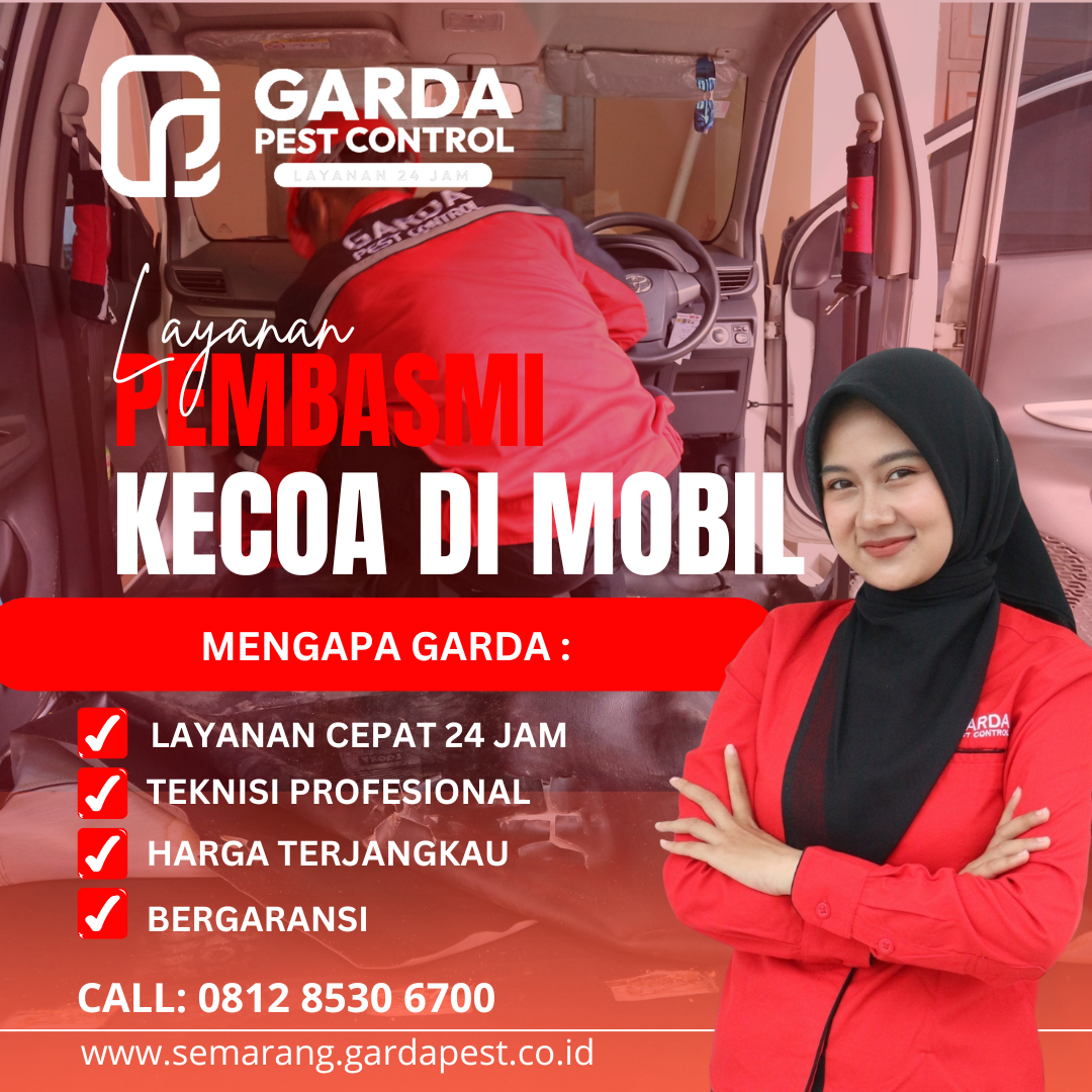 Jasa Pembasmi Kecoa Mobil di Semarang