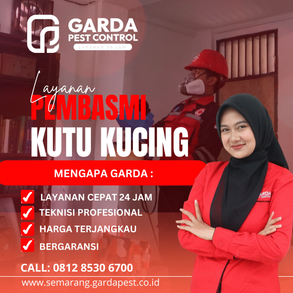 Jasa Pembasmi Kutu Kucing di Semarang