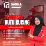 Jasa Pembasmi Kutu Kucing di Semarang