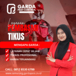 Pest Control Pembasi Tikus Demak Layanan Cepat 24 Jam