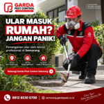 Harga Jasa Pembasmi Ular