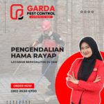 Jasa Anti Rayap di Semarang