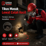 Jasa Pembasmi Tikus Rumah & Tempat Usaha