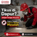 Rekomendasi Jasa Pembasmi Tikus Terpercaya dan Profesional