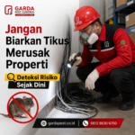 Jasa Pembasmi Tikus Semarang Terbaik untuk Melindungi Hunian dan Tempat Usaha