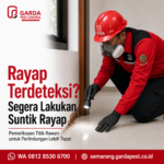 Rincian Biaya Suntik Rayap per Meter Semarang dan Estimasi Lengkap