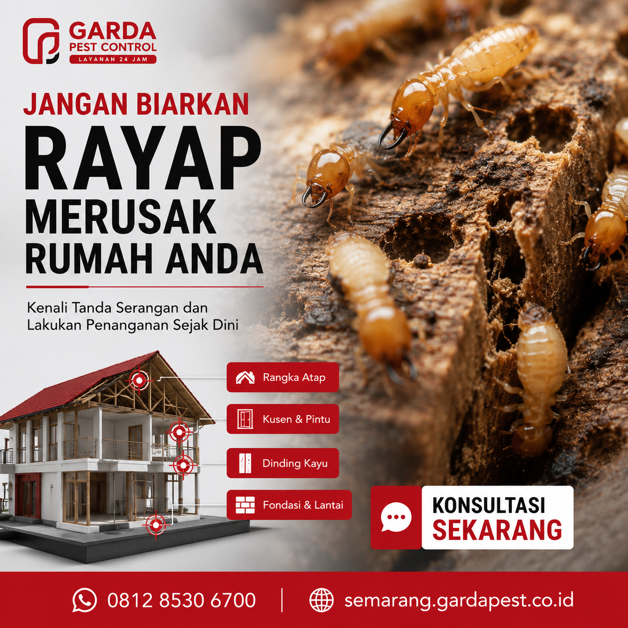 Layanan Jasa Suntik Rayap Bergaransi di Semarang untuk Proteksi Bangunan