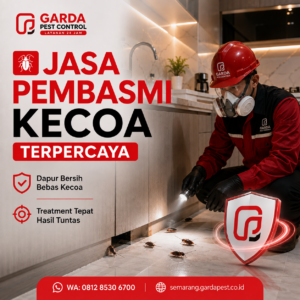 Jasa Pembasmi Kecoa Semarang Terpercaya