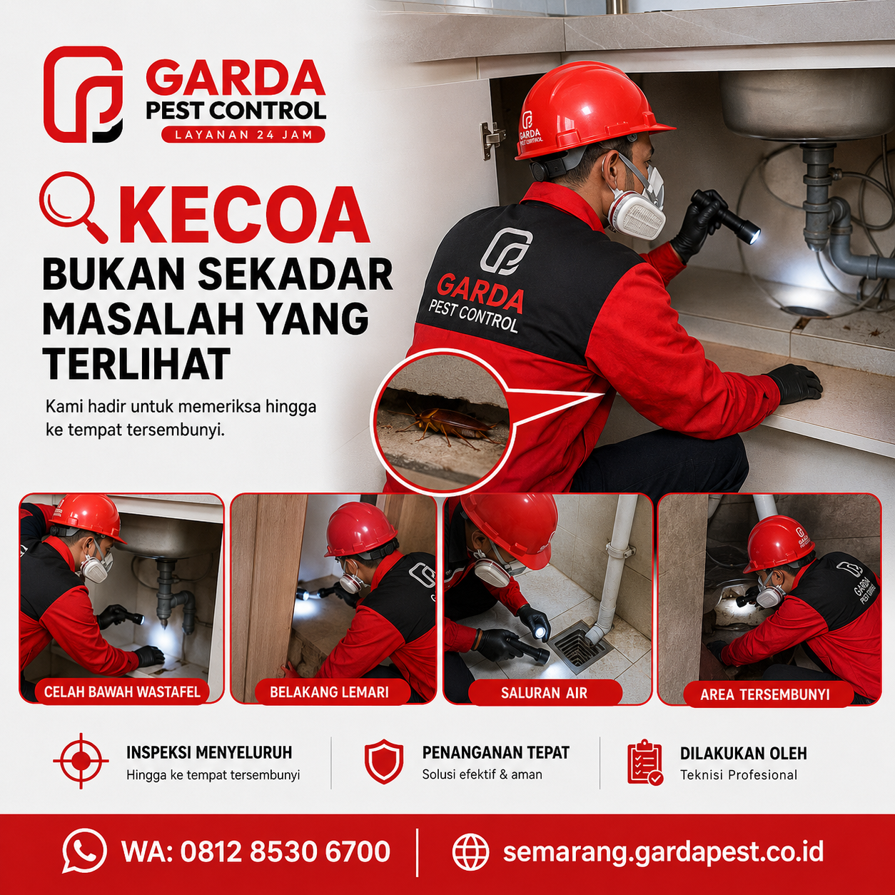 Jasa Pembasmi Kecoa Semarang Terpercaya