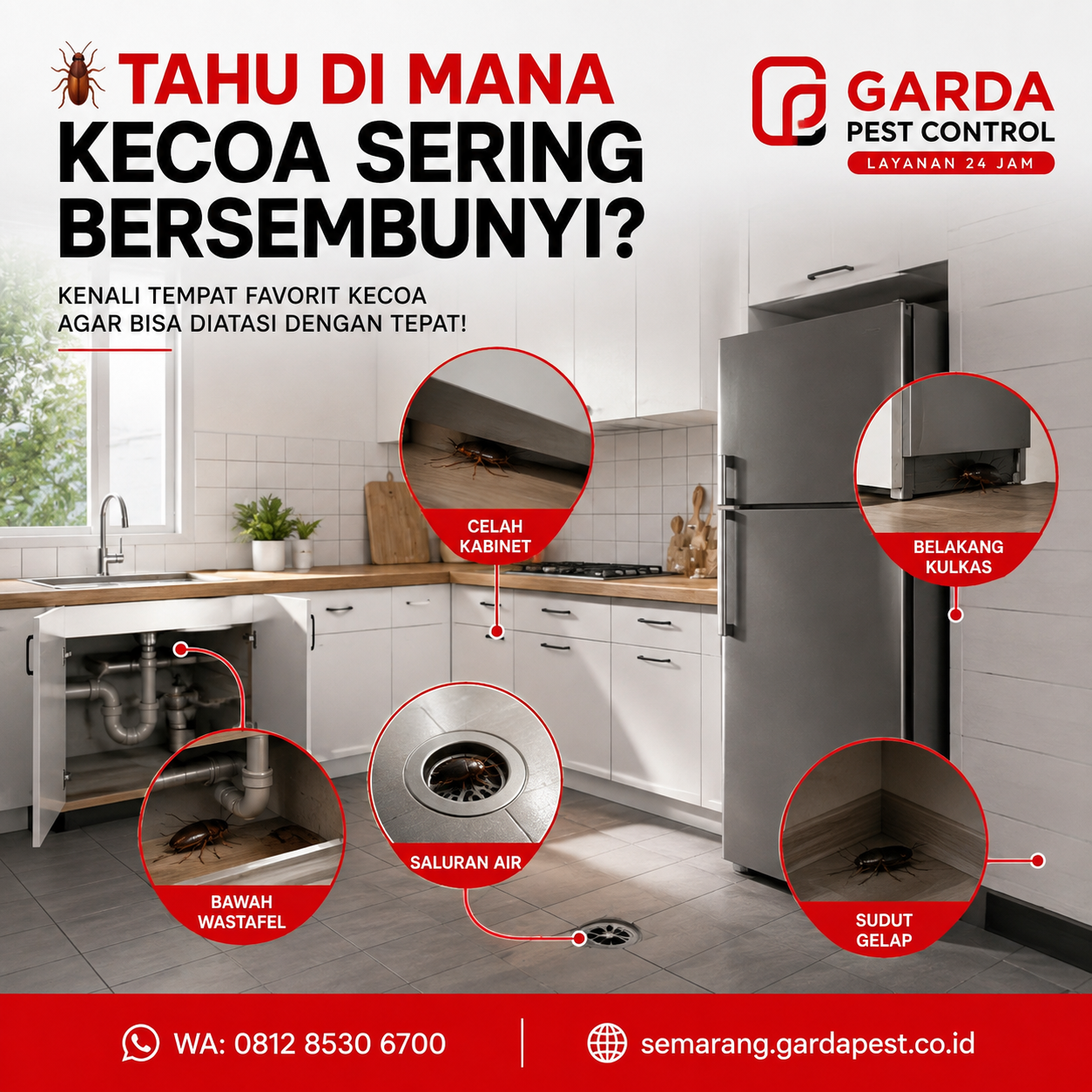 Jasa Pembasmi Kecoa Semarang Terpercaya