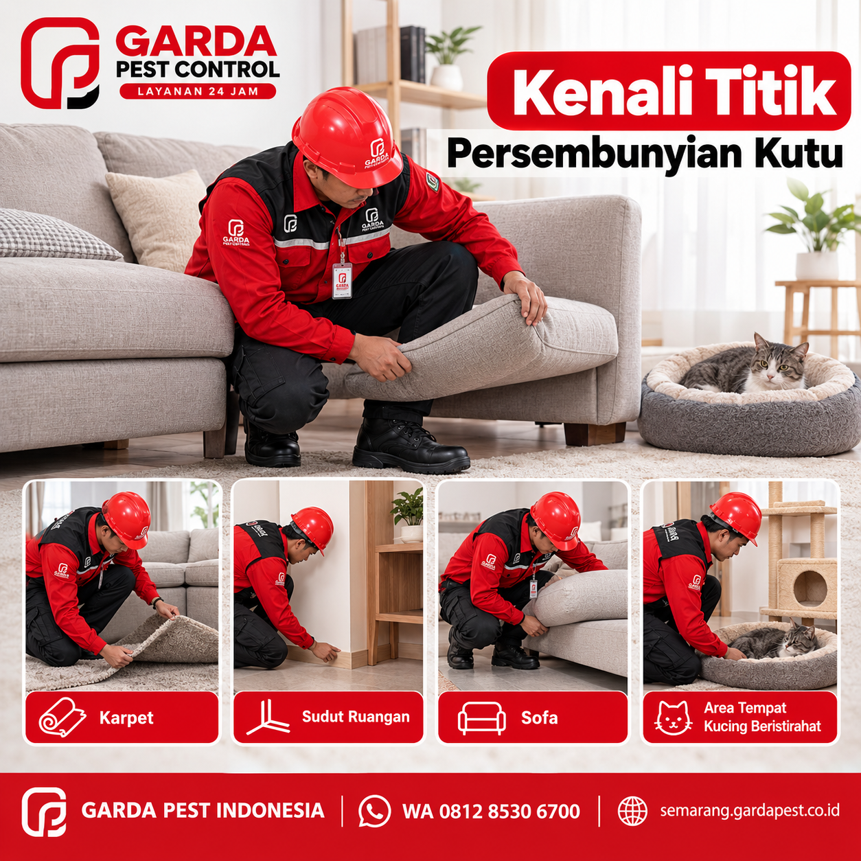 Biaya Jasa Basmi Kutu Kucing Semarang