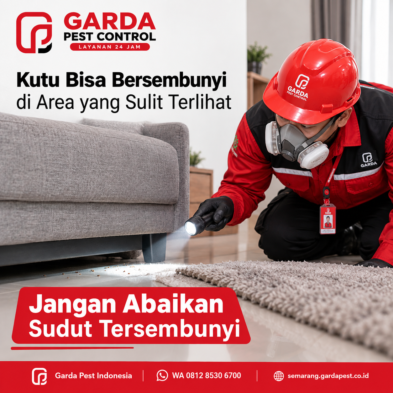 Jasa Pembasmi Kutu Kucing Semarang