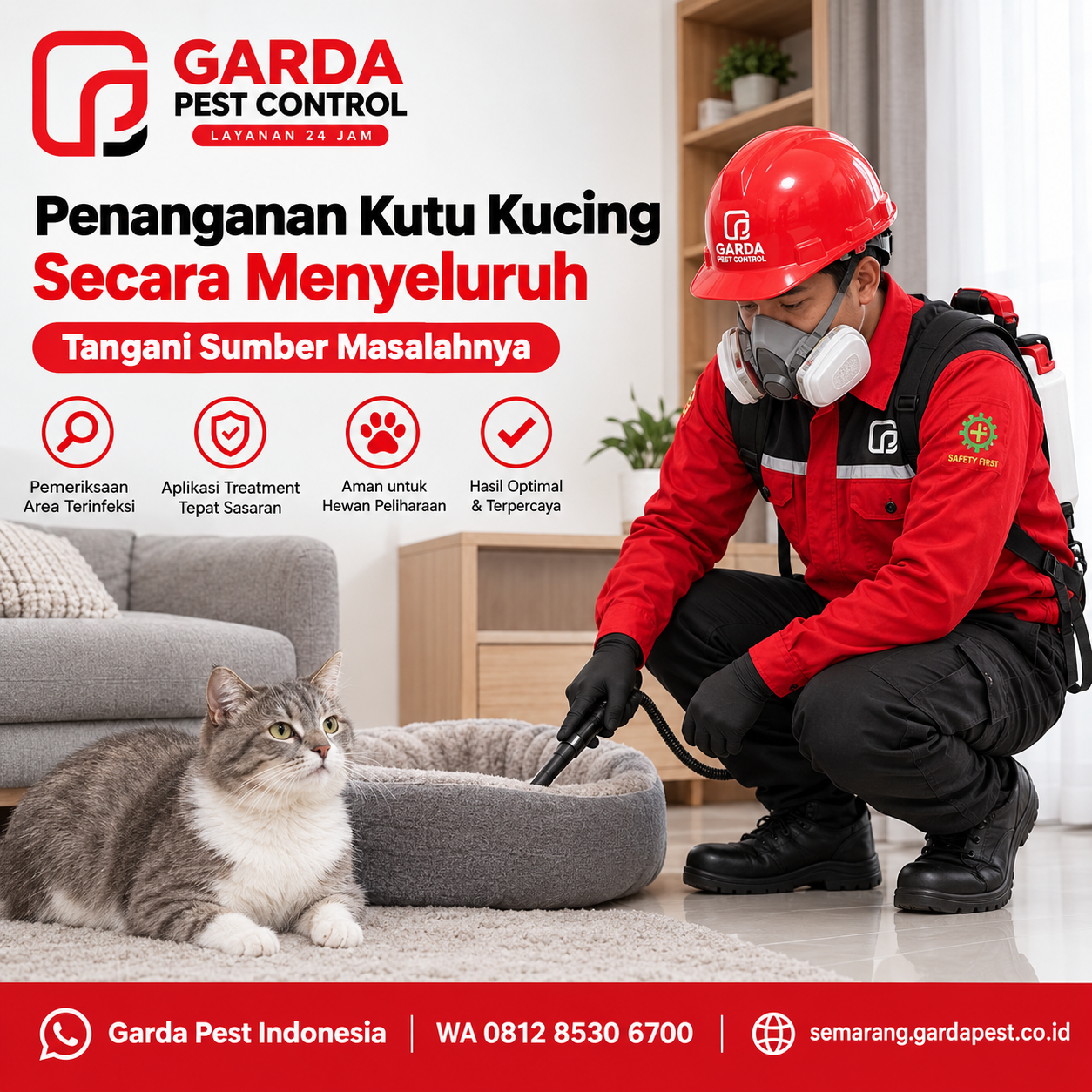 Jasa Pembasmi Kutu Kucing Semarang